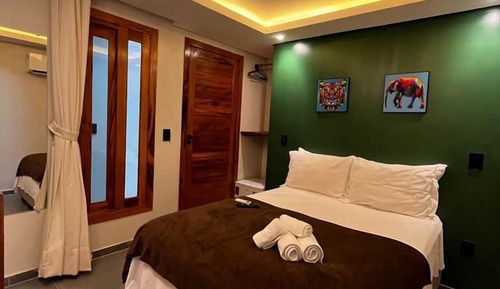 Basic Double or Twin Room