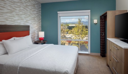 Studio, 1 King Bed, Accessible (Mobility, Roll-In Shower)
