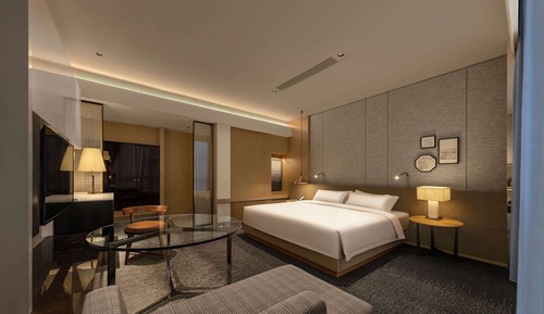 Room, 1 King Bed, Smoking, Bathtub