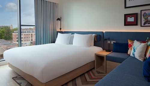 Room, 1 King Bed