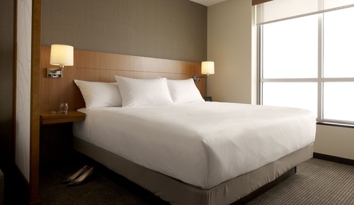 Room, 1 King Bed with Sofa bed, Accessible