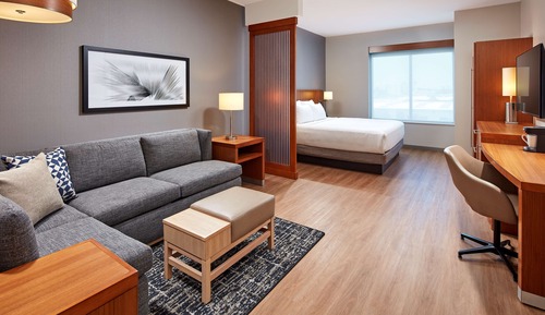 Room, 1 King Bed with Sofa bed (High Floor)