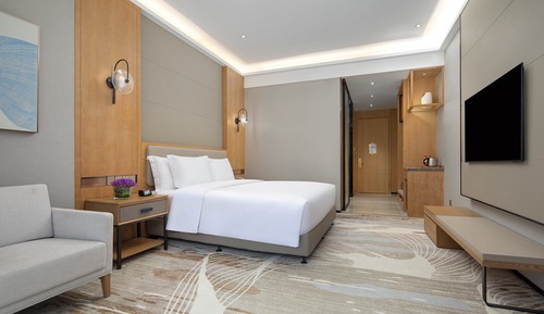 Standard Room, 1 King Bed