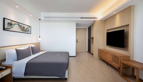 Room, 1 King Bed, Smoking