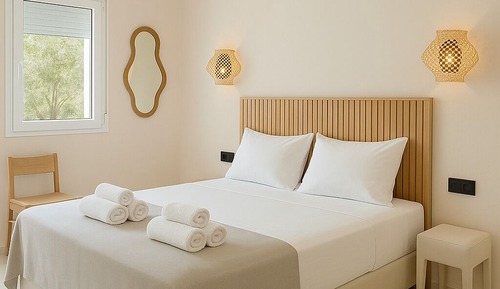 Deluxe Double or Twin Room