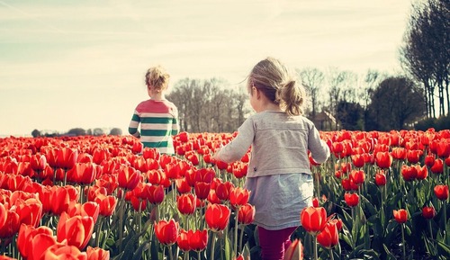 [Spring Ocean&BF PKG] Silver Suite(Kitchen/Standard/Bed) - Breakfast+Ocean Play for 2 Adults+1 Child
