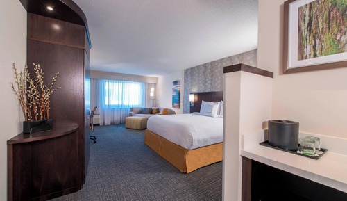 Room, 1 King Bed with Sofa bed