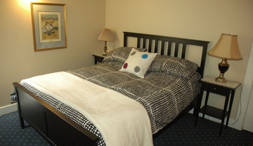 Basic Room, 1 Queen Bed- Basement Level