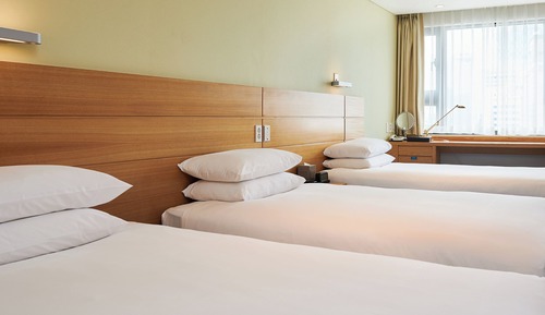 Standard Triple Room (With breakfast for 3)