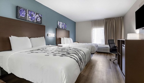 Standard Room, 2 Double Beds, Non Smoking