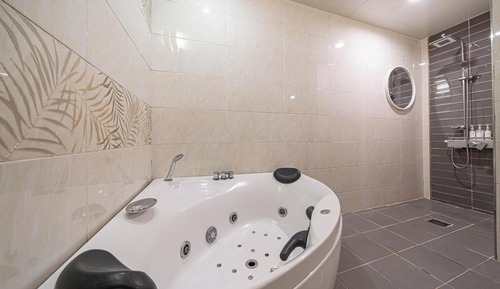 Room (Standard (whirlpool bath + OTT viewin)