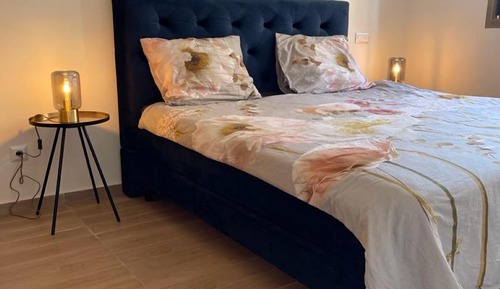 Luxury Apartment