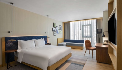 Room, 1 King Bed with Sofa bed