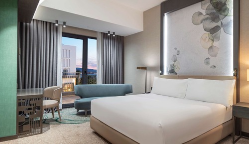 Room, 1 King Bed