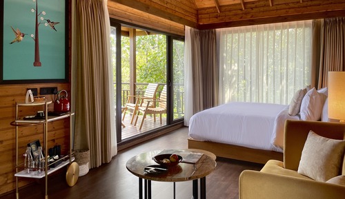 Luxury Room