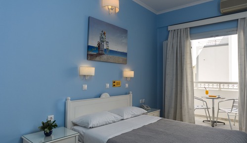 Classic Double Room Single Use