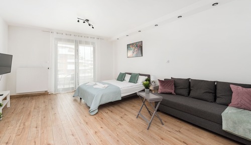 Studio Suite (185)