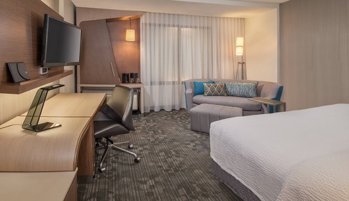 Room, 1 King Bed with Sofa bed (Hearing Accessible)