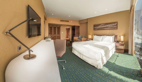 Deluxe Suite, 1 King Bed