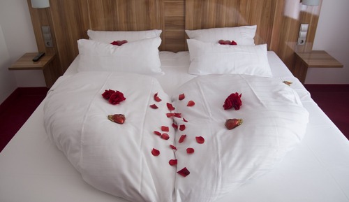 Superior Single Room