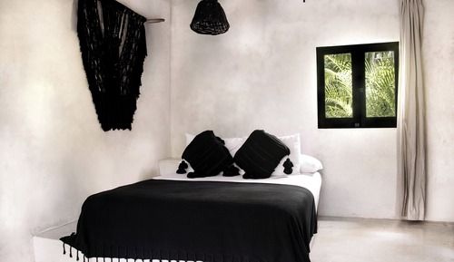 Jungle View Room