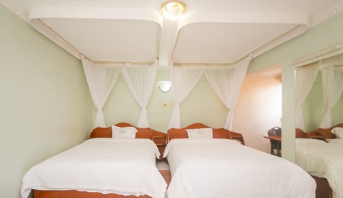 Executive Twin Room
