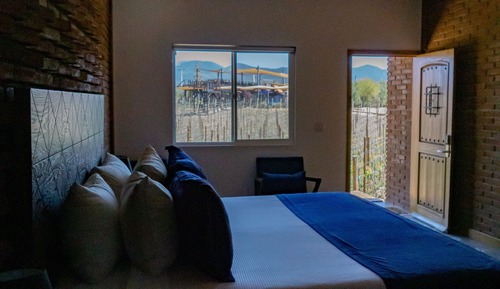 Deluxe Single Room, 1 King Bed, Vineyard View