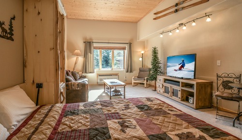 Design Studio, 1 Queen Bed with Sofa bed, Mountain View (Gateway Lodge 5062)