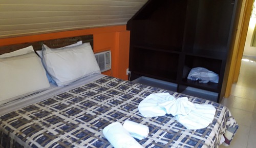 Basic Apartment