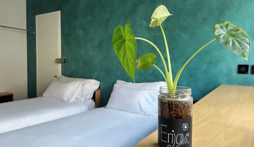 Room, Connecting Rooms, Mountain View