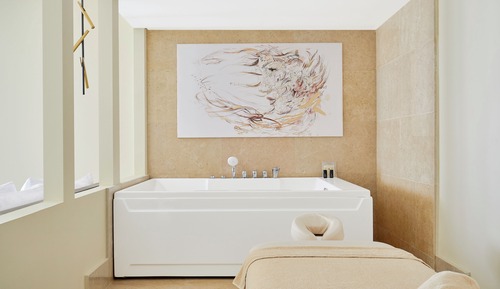 Room, 1 King Bed (SPA)