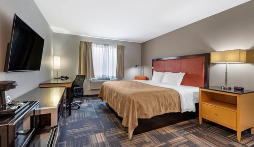 Room, 1 King Bed, Accessible, Non Smoking