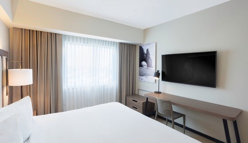 Room, 1 King Bed, Non Smoking