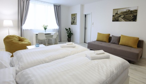 Superior Apartment
