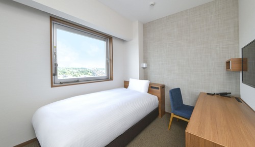 Economy Single Room, Non Smoking