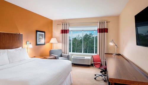 Room, 1 King Bed