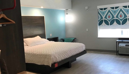 Room, 1 King Bed, Accessible (Roll-In Shower)