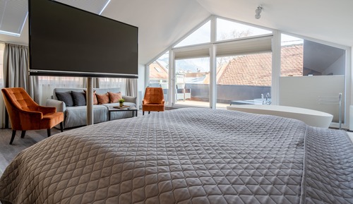 Executive Studio Suite (Kaiser Max Residenz)