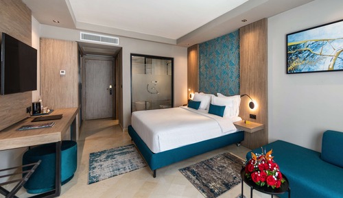 Business Room, Multiple Beds