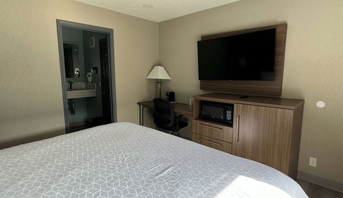 Room, 1 King Bed, Accessible, Non Smoking (Mobiliy, Shower w/Grab Bars)