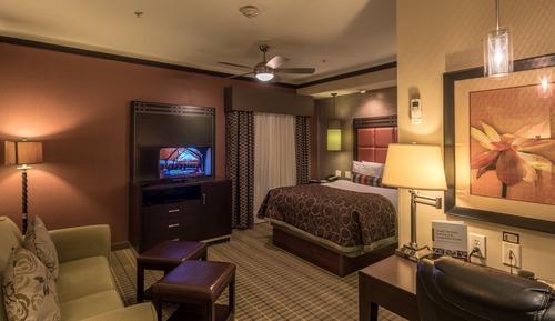 Studio Suite, 1 Queen Bed, Kitchen