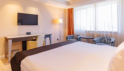 Premium Room, 1 King Bed