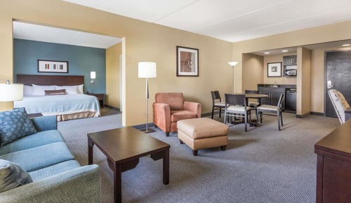 Studio Suite, 1 King Bed with Sofa bed, Non Smoking