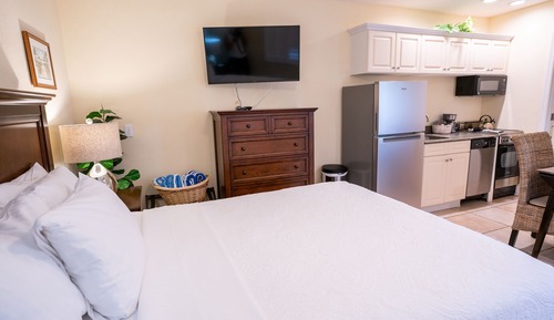 Studio Suite (Unit 102)