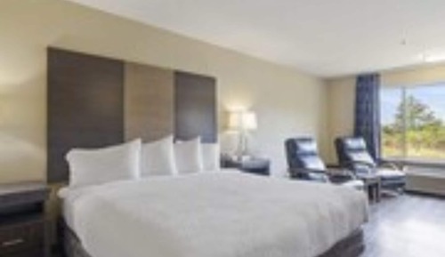 Single King Ocean View Room