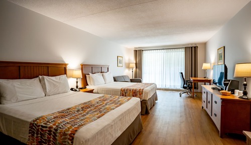 Comfort plus room - main pavilion