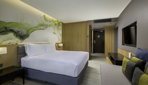 Room, 1 King Bed, Accessible