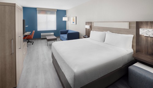 Suite, 1 King Bed with Sofa bed
