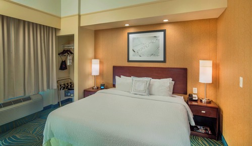 Suite, 1 King Bed with Sofa bed