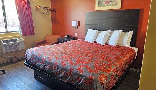 Business Single Room, 1 Bedroom